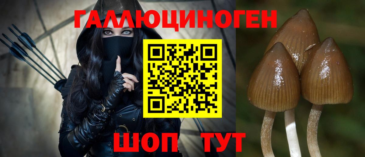 Псилоцибиновые грибы ЛСД Малоярославец